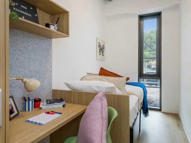 3 Bedroom Shared room image 2