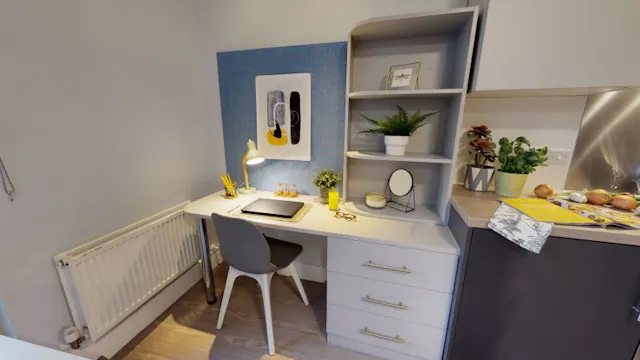 Gold Studio Plus room image 3