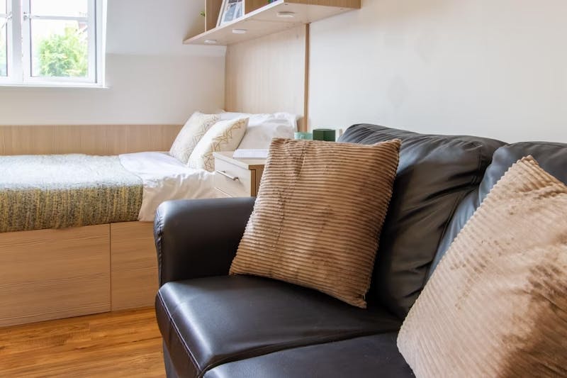 Platinum Studio Plus