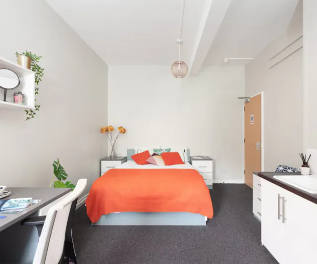 Deluxe room image 2