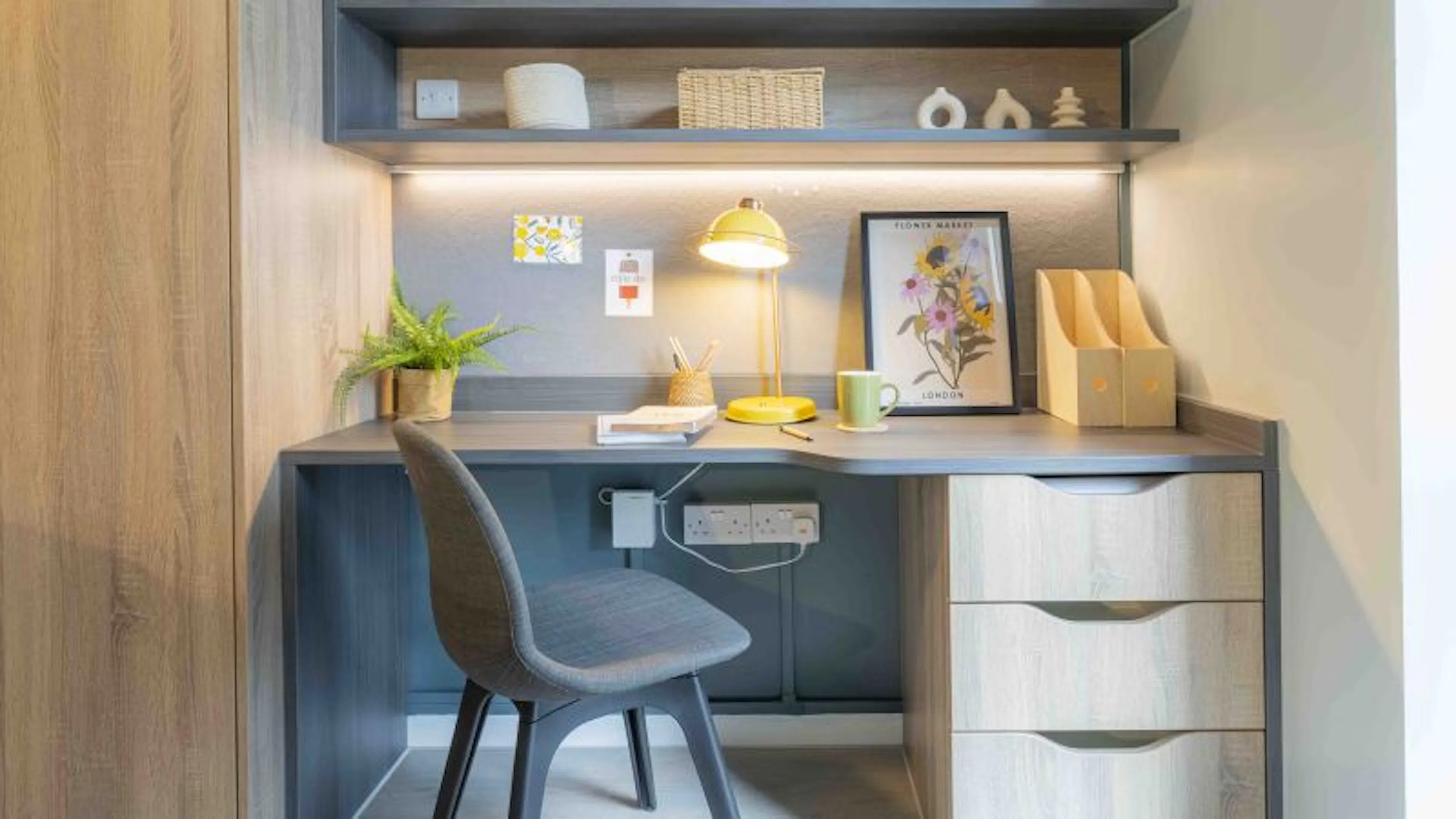 Bronze Studio Plus ROOM 2