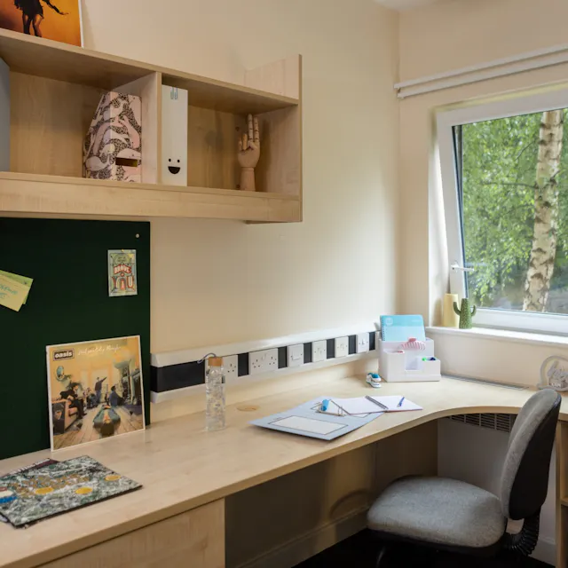 Standard Plus Ensuite room image 3