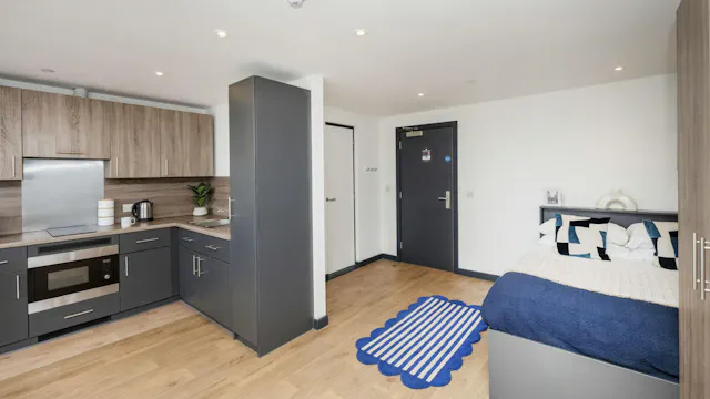 Penthouse Premium  Studio room image 3