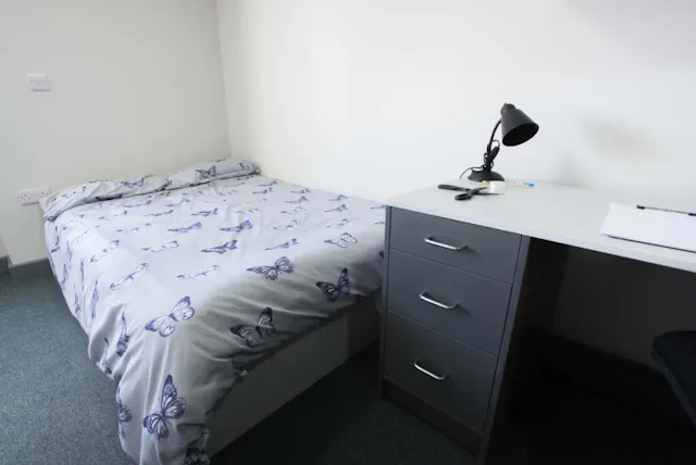 Deluxe Wet Room Studio room image 3