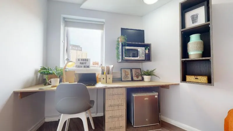 Silver Mini Studio