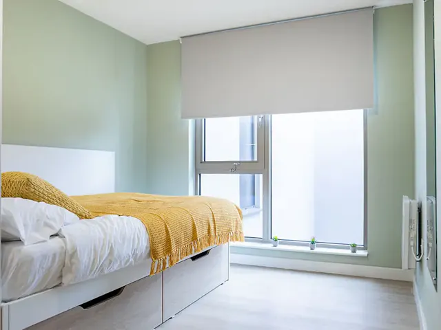 Superior Studio room image 2