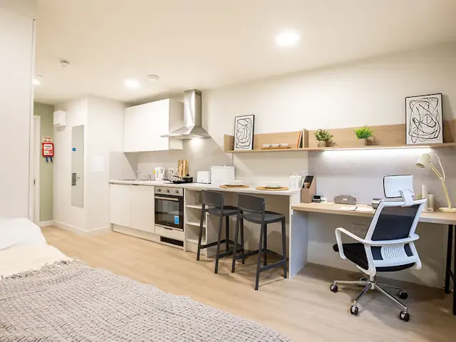 Deluxe Studio room image 3