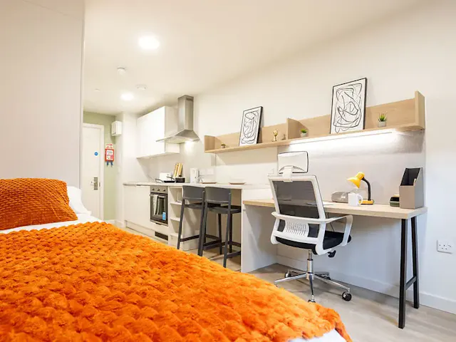 Premium Studio room image 2