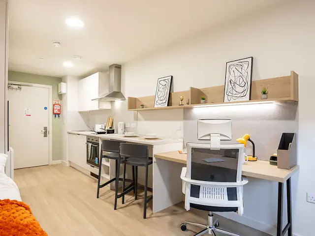 Premium Studio room image 3