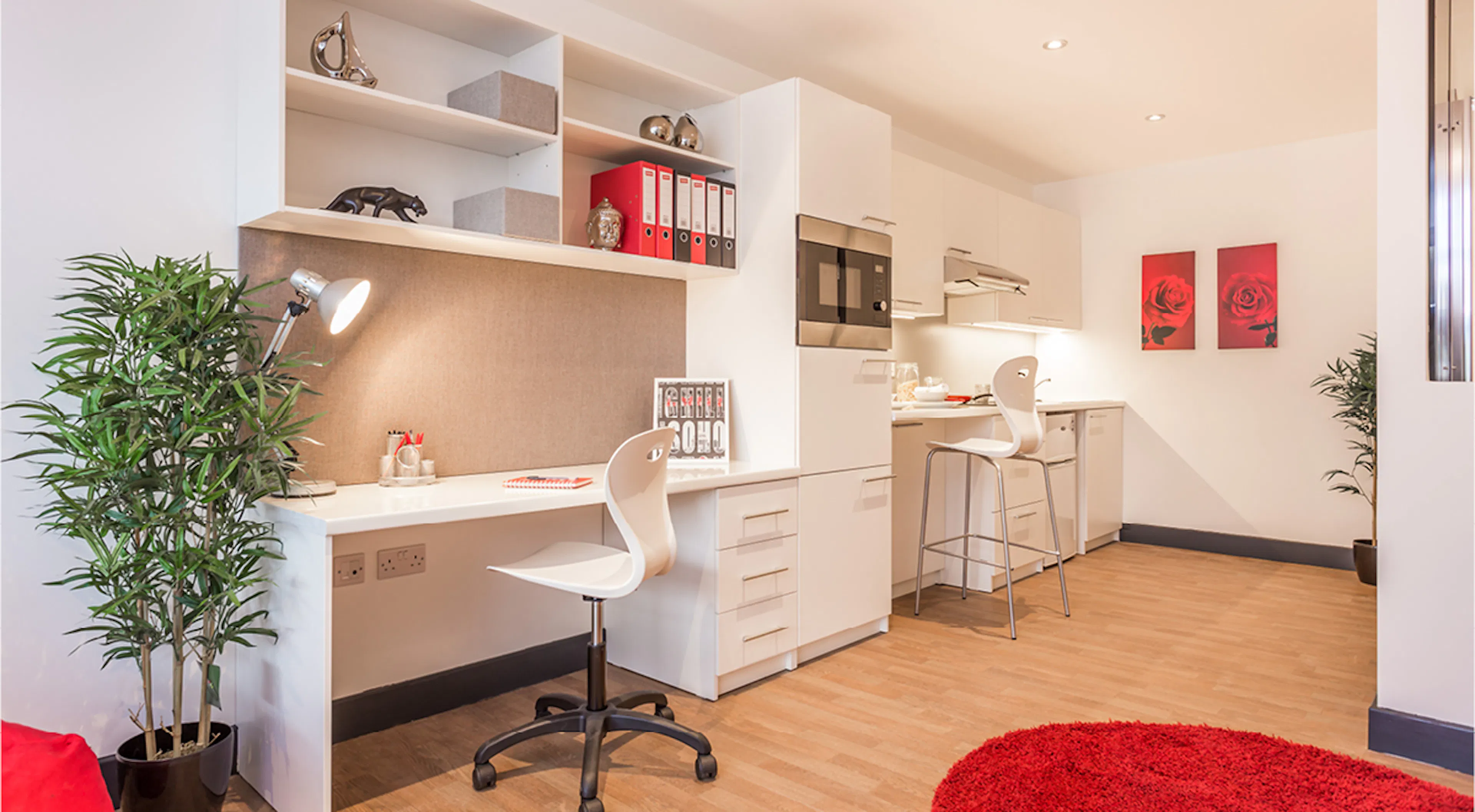 Studio Penthouse ROOM 1