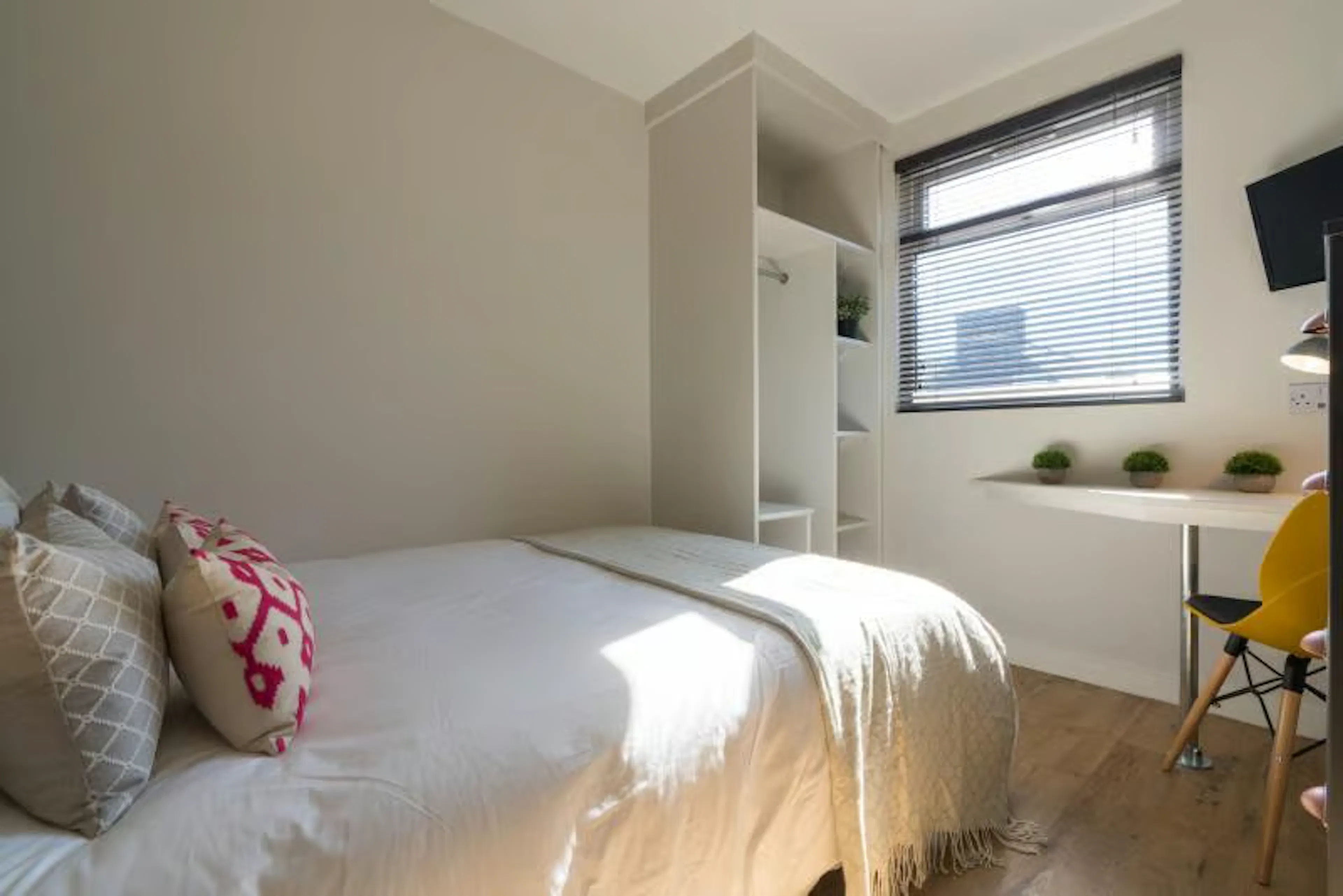 Six Bedroom Apartment ROOM 2