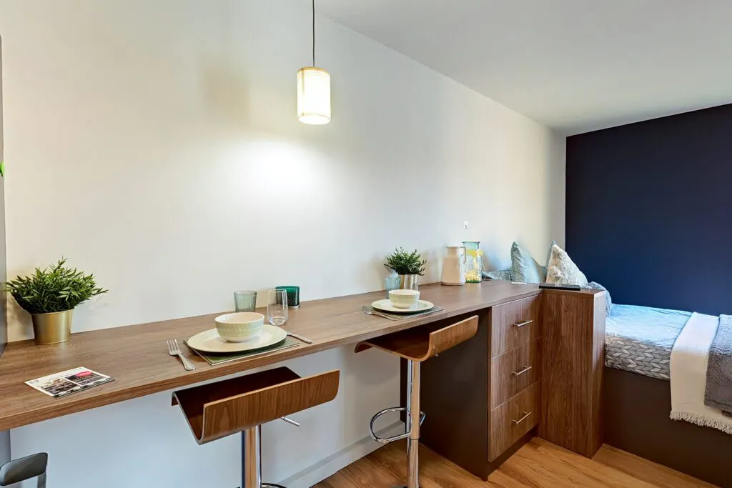 Luxury Plus Studio