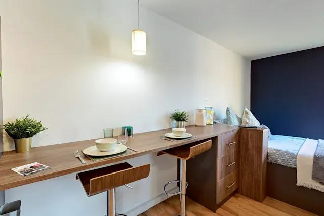 Luxury Plus Studio room image 2