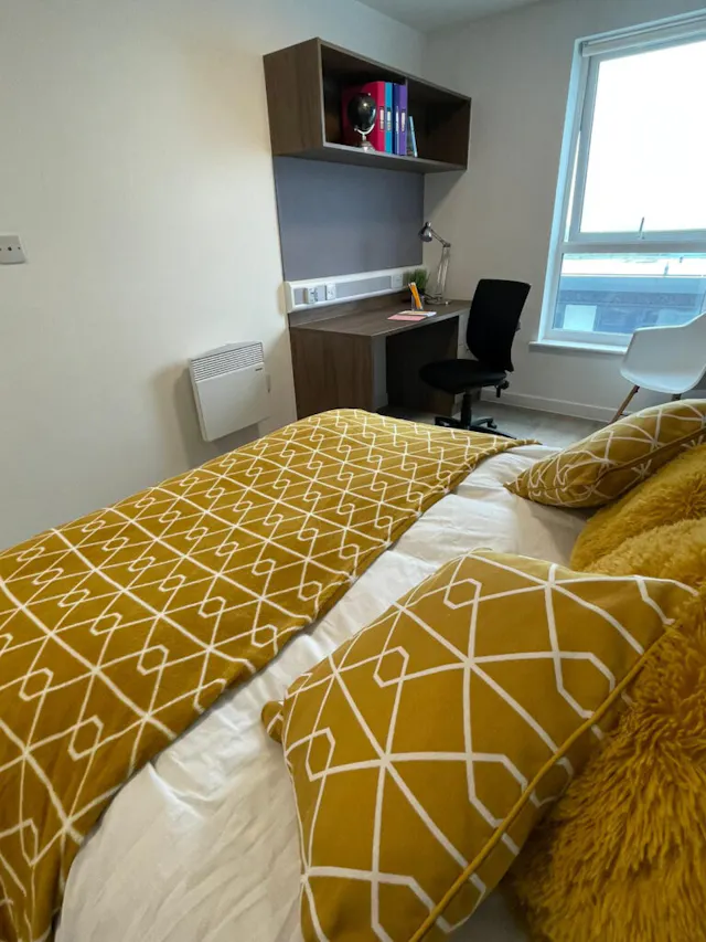Deluxe Studio room image 4