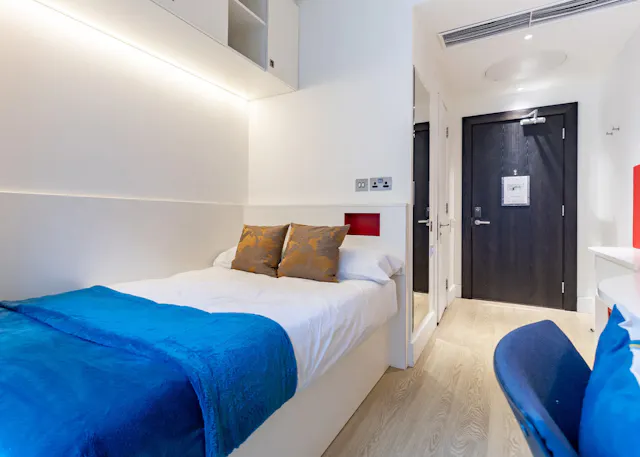 Classic Ensuite Lower Level room image 2