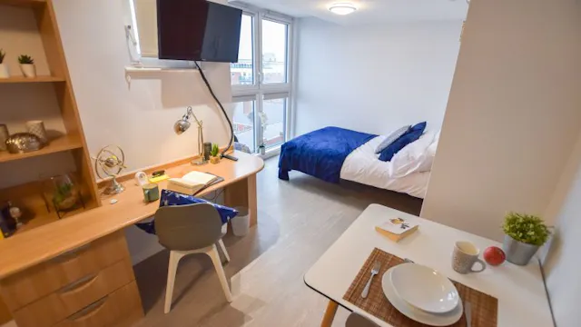 Gold Studio Plus room image 3