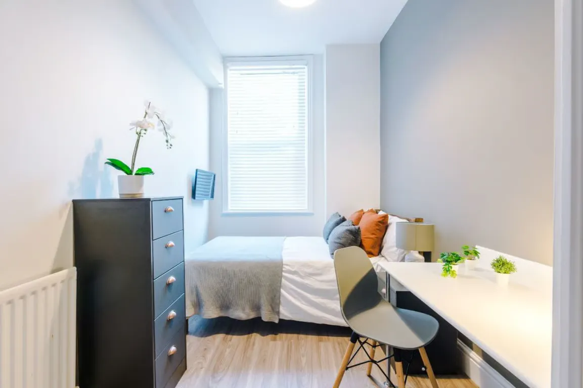 3 Bedroom Apartment ROOM 2