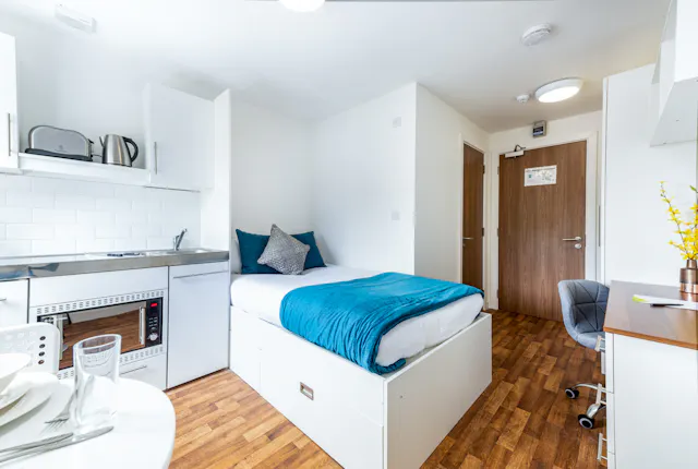 Large Studio room image 3