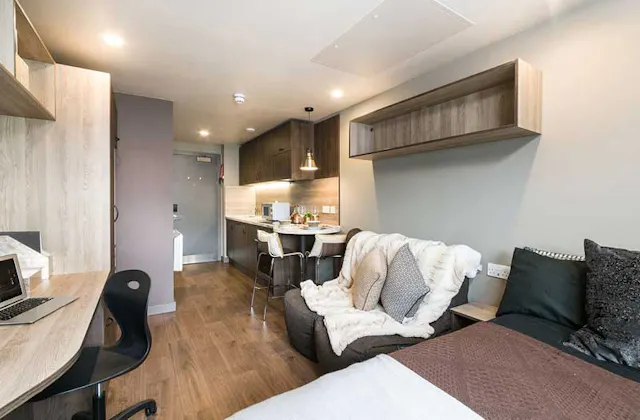 Deluxe Studio room image 3