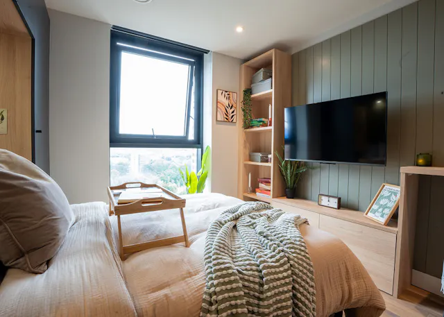 Classic Studio Plus room image 1