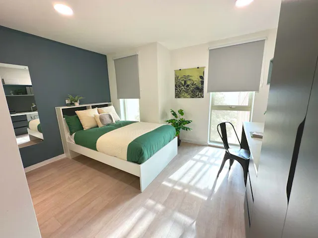Premium Studio room image 2