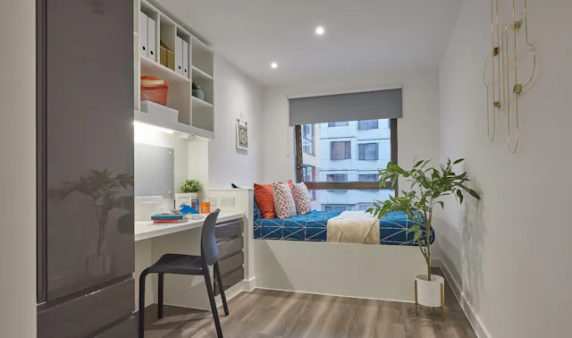 Premium Studio room image 1