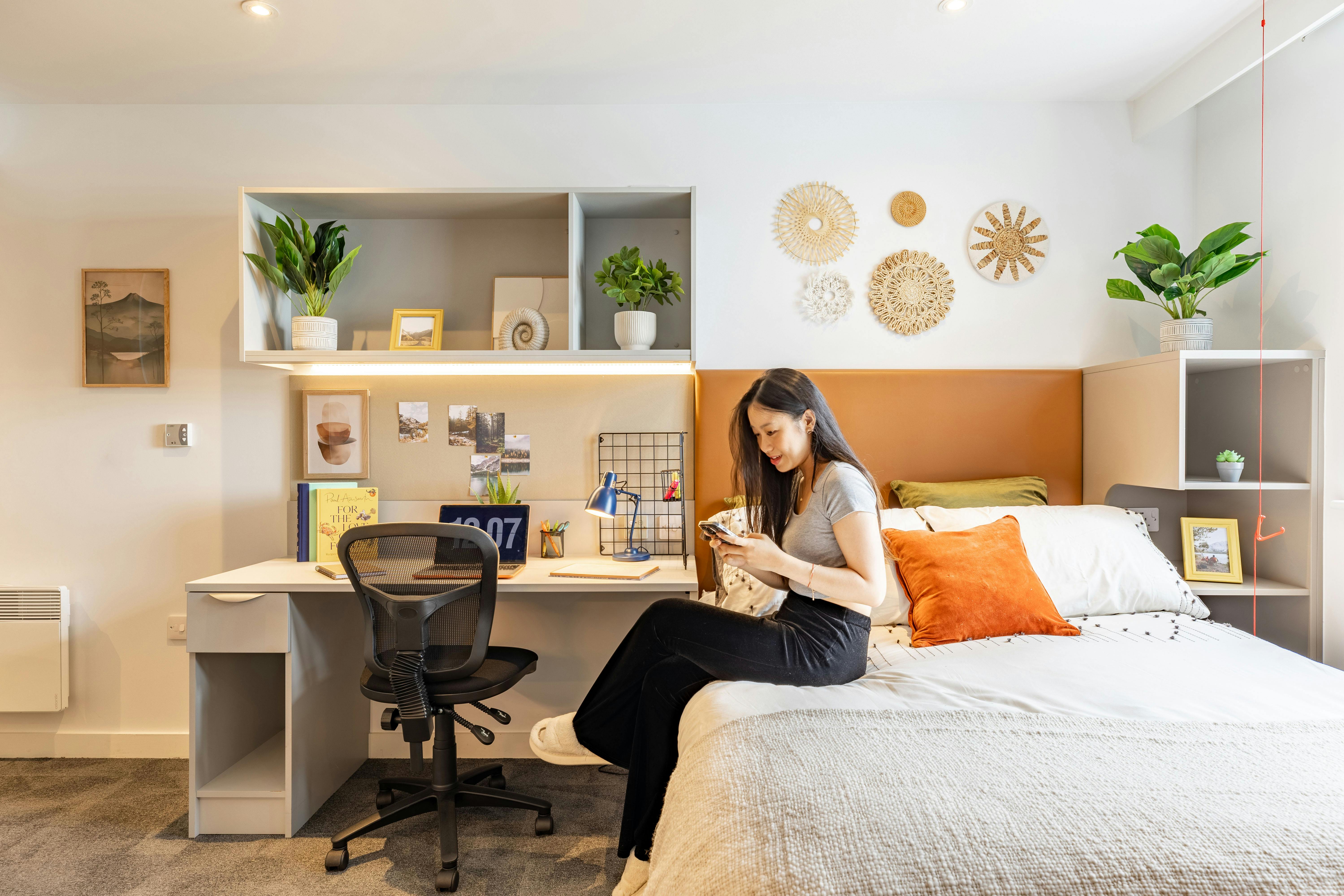 true Accessible Studio Plus