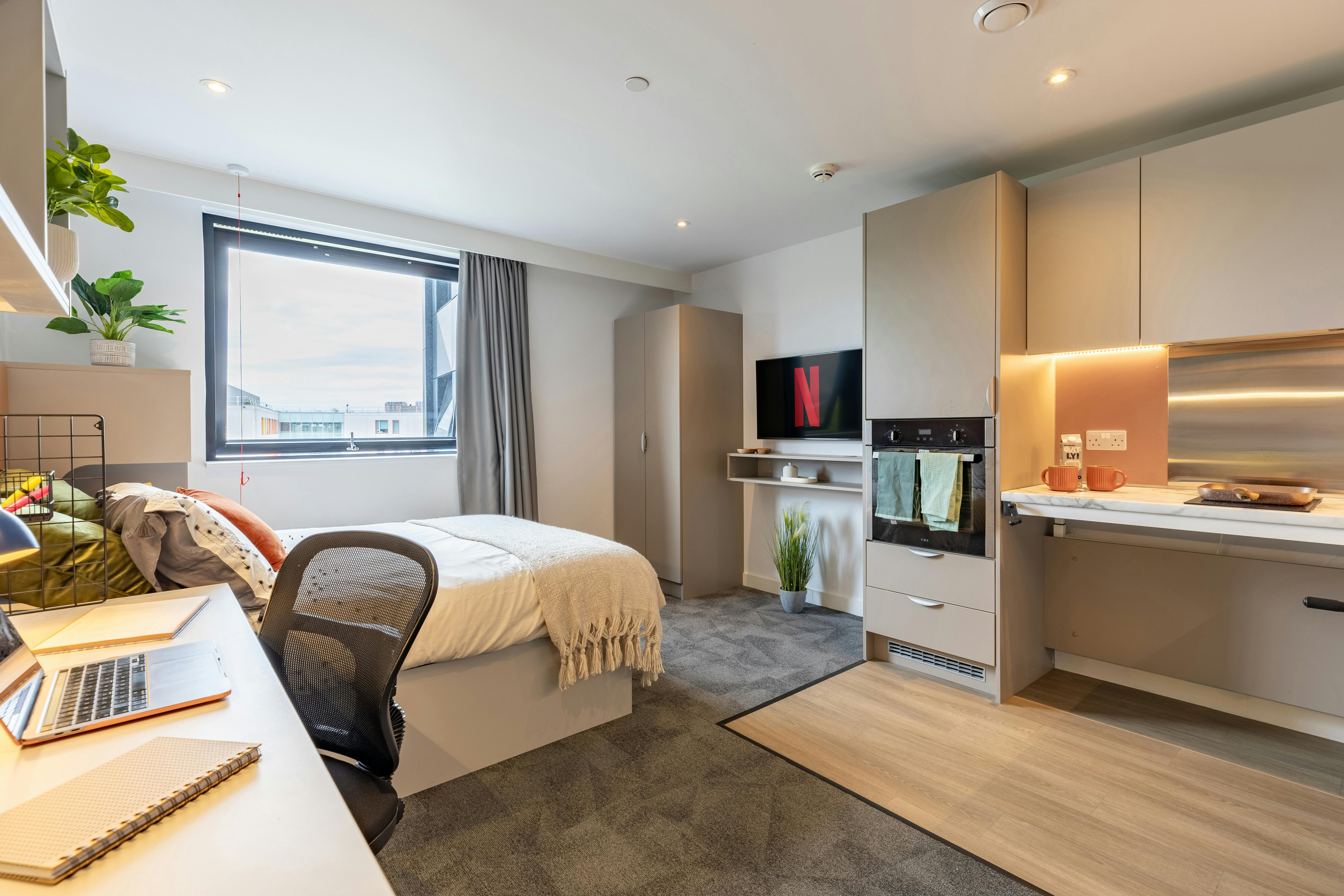 true Accessible Studio Plus