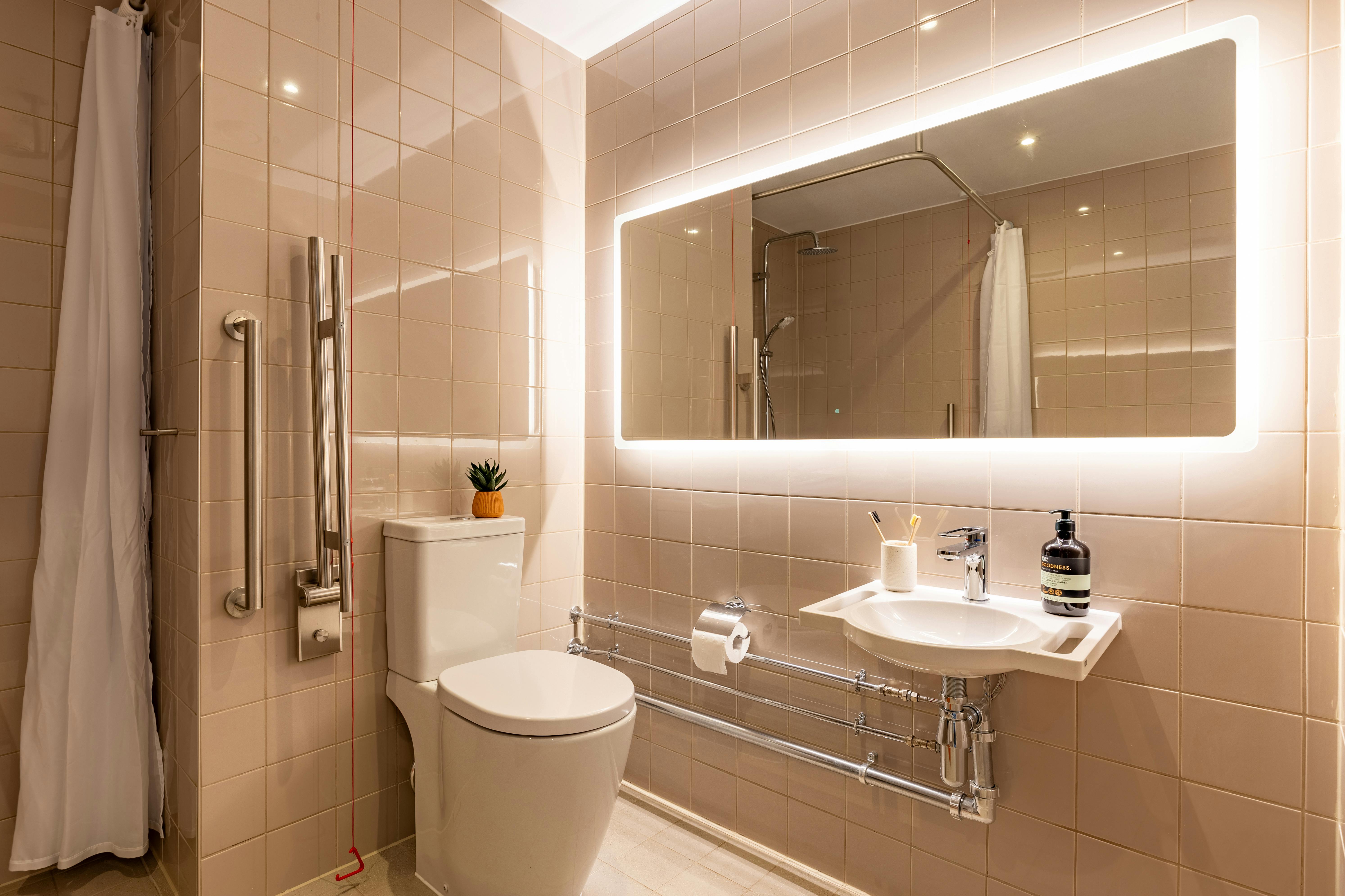 true Accessible Studio Plus