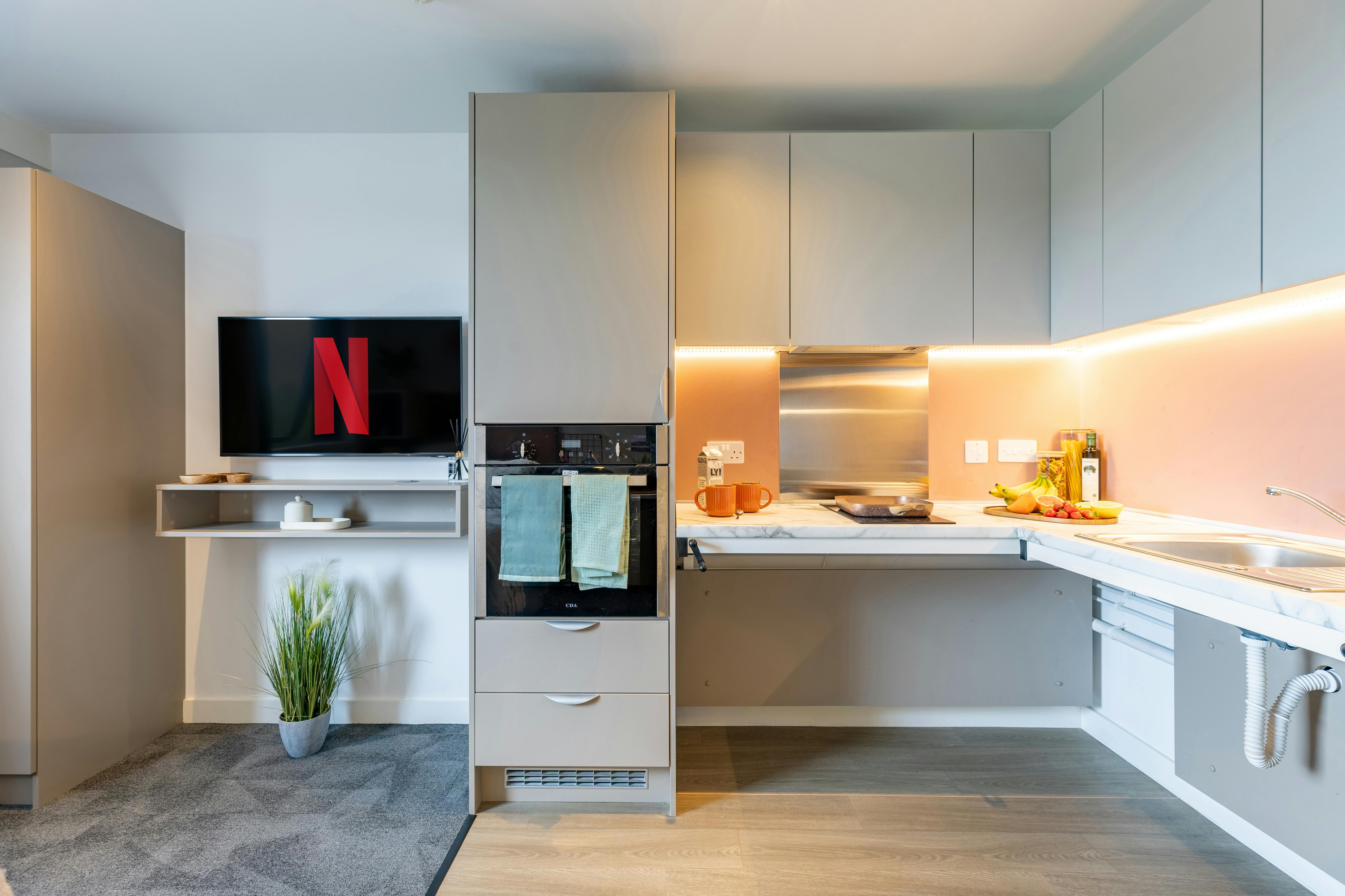 true Accessible Studio Plus