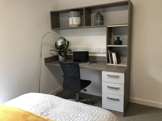 Deluxe Studio room image 5