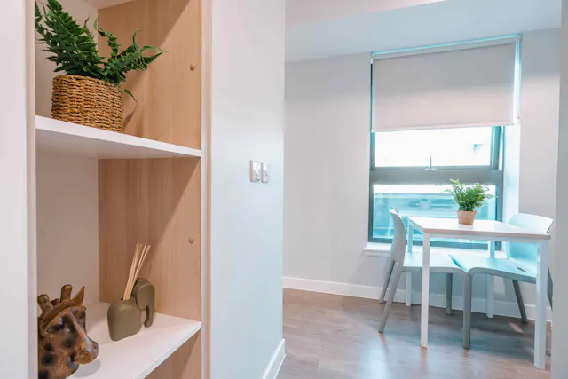Premium Studio room image 5
