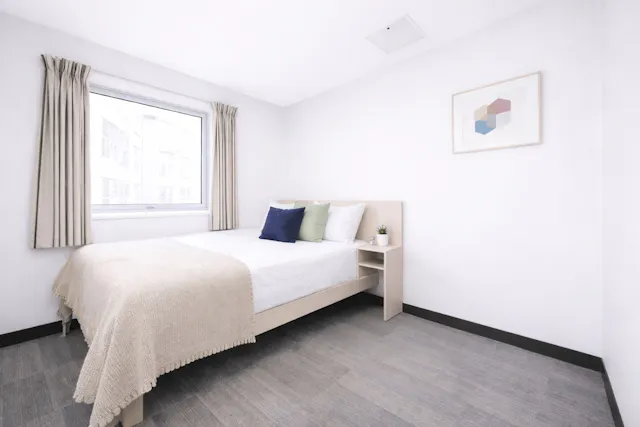 Deluxe Double Studio room image 2