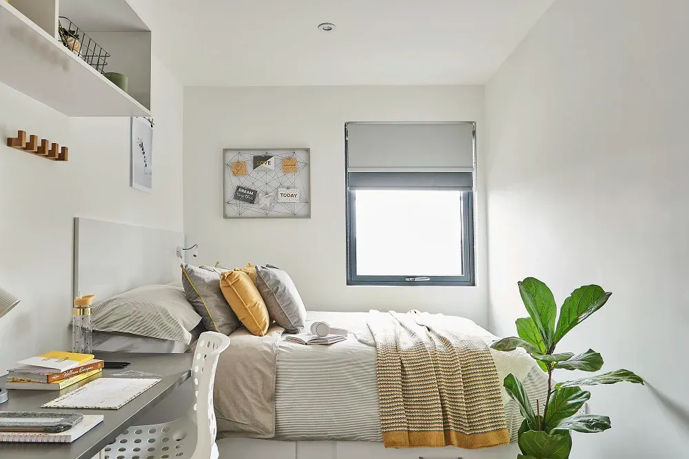 6 Bed Cluster En-suite - Premium Top Floor ROOM
