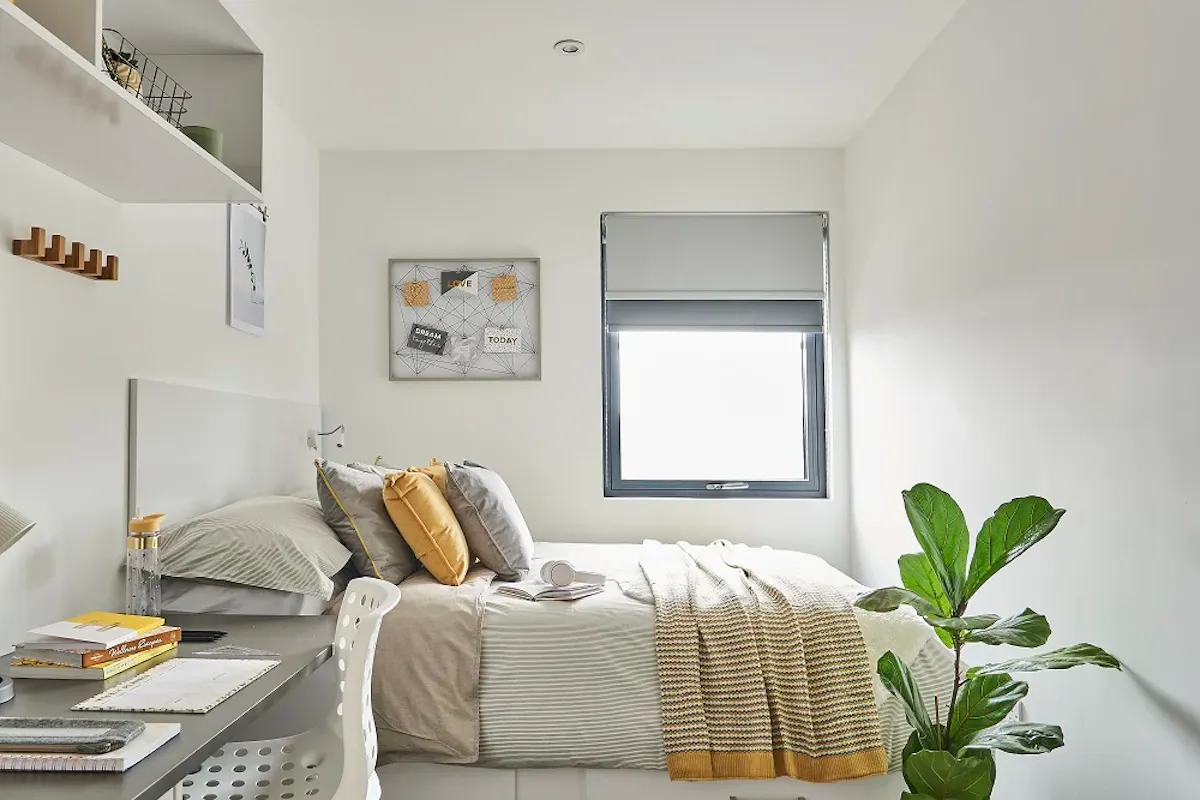 6 Bed Cluster En-suite - Premium Top Floor ROOM