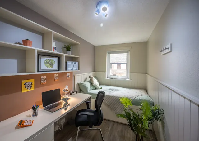 6 Bed Standard Plus room image 1