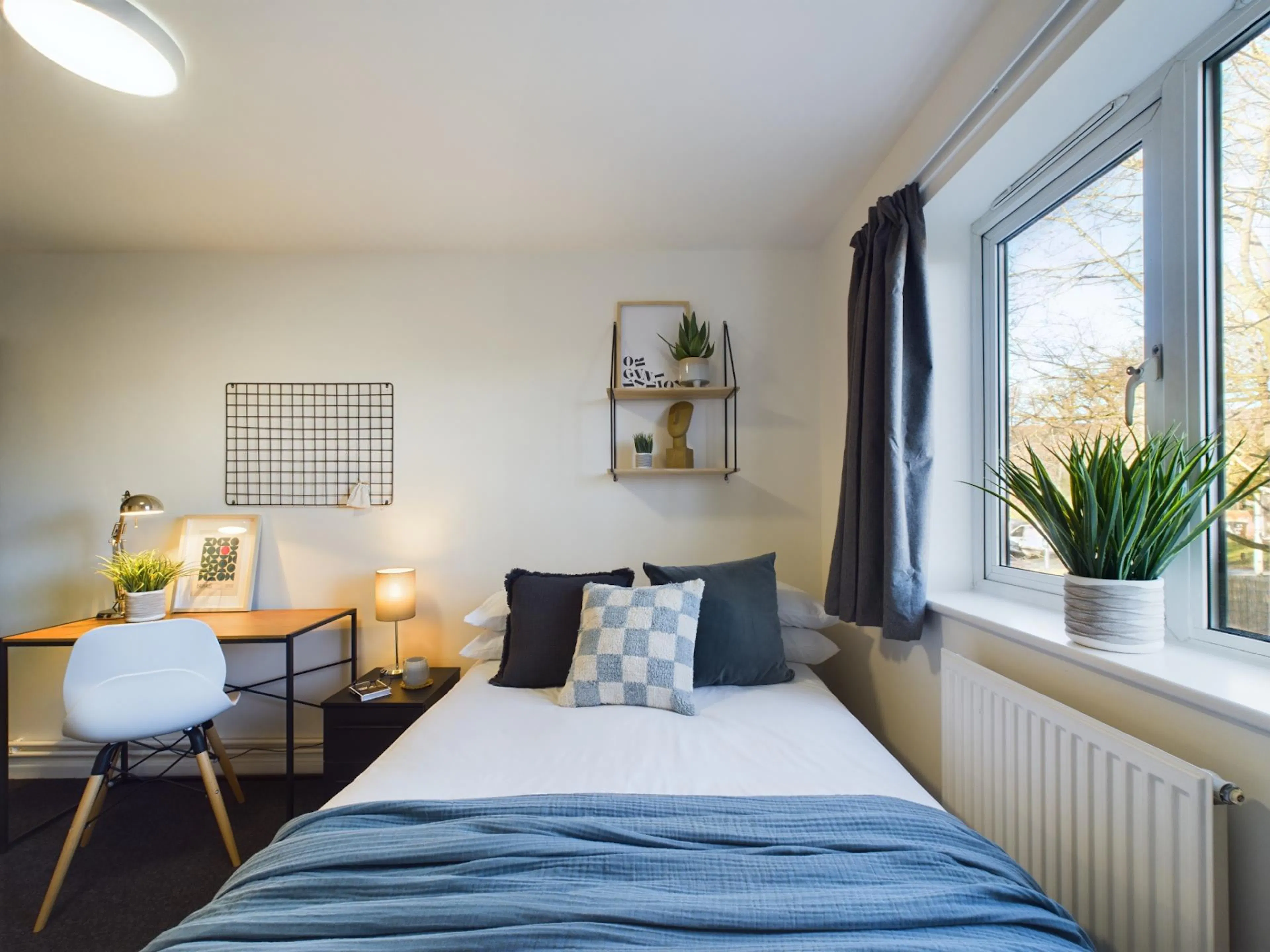 6 Bedroom House ROOM 1