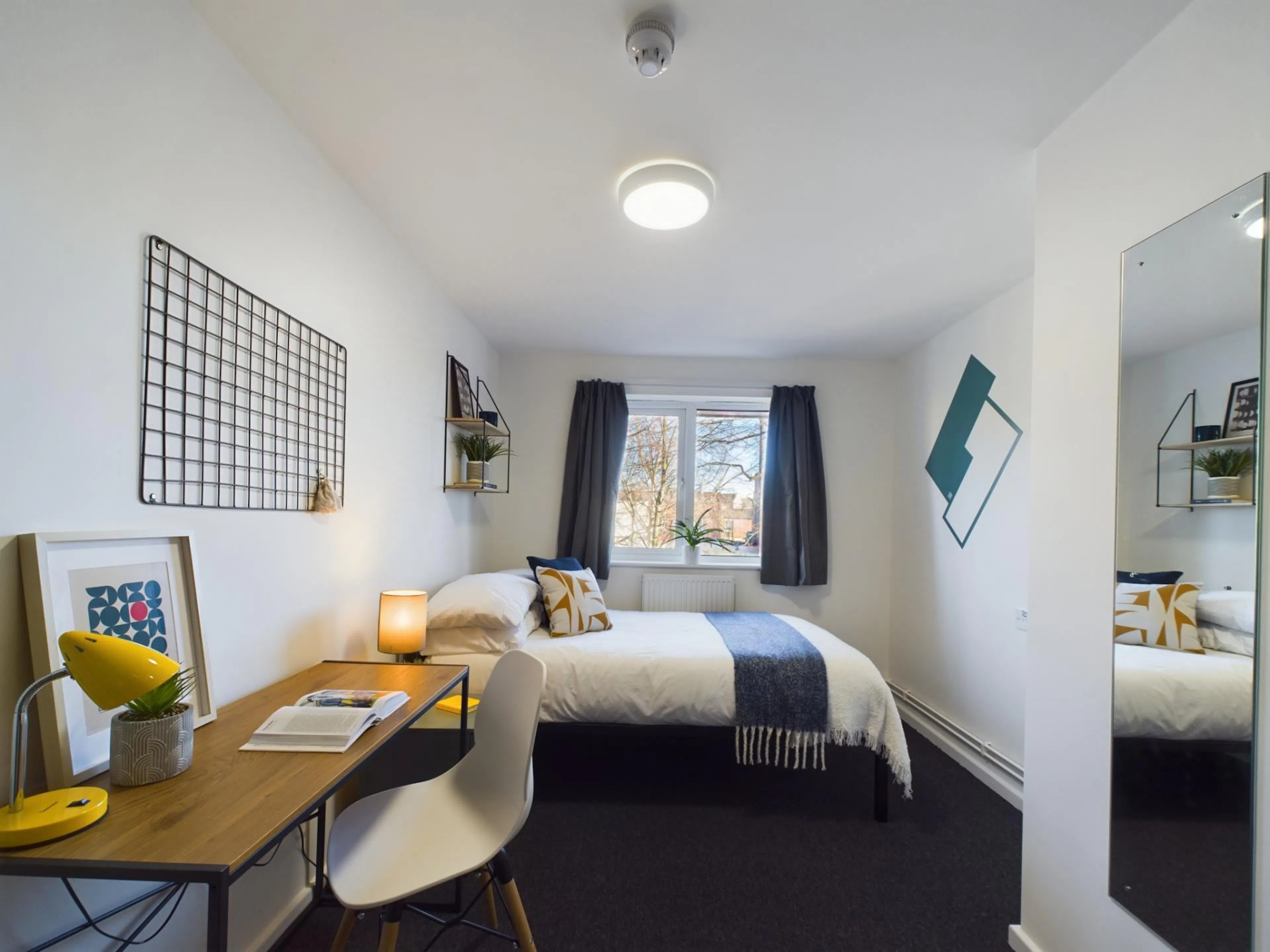 6 Bedroom House ROOM 2