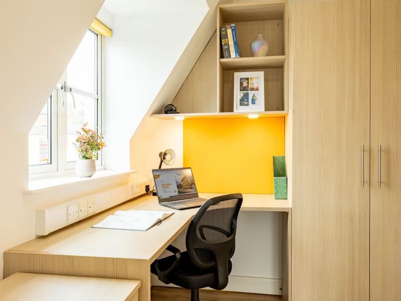 Platinum Studio Plus