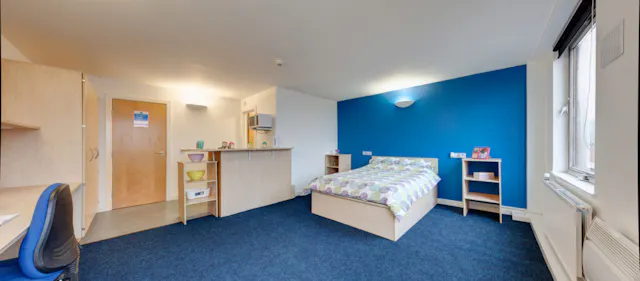 Premier Dual Studio room image 5