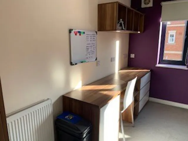 Deluxe Studio Behn Hall room image 6
