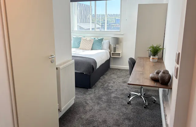 Deluxe Double Studio room image 2