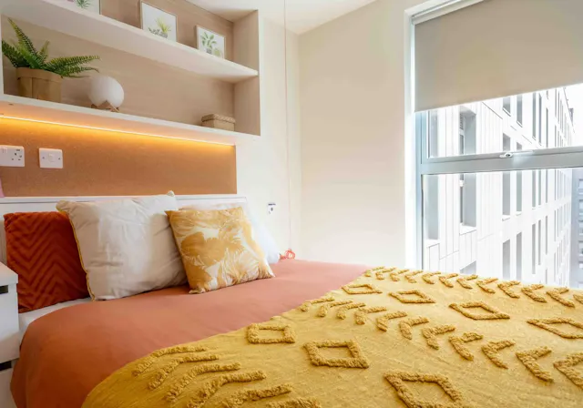 Platinum Studio  room image 2