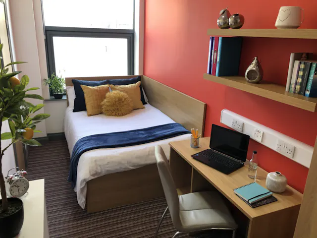 Deluxe En-suite Room room image 7
