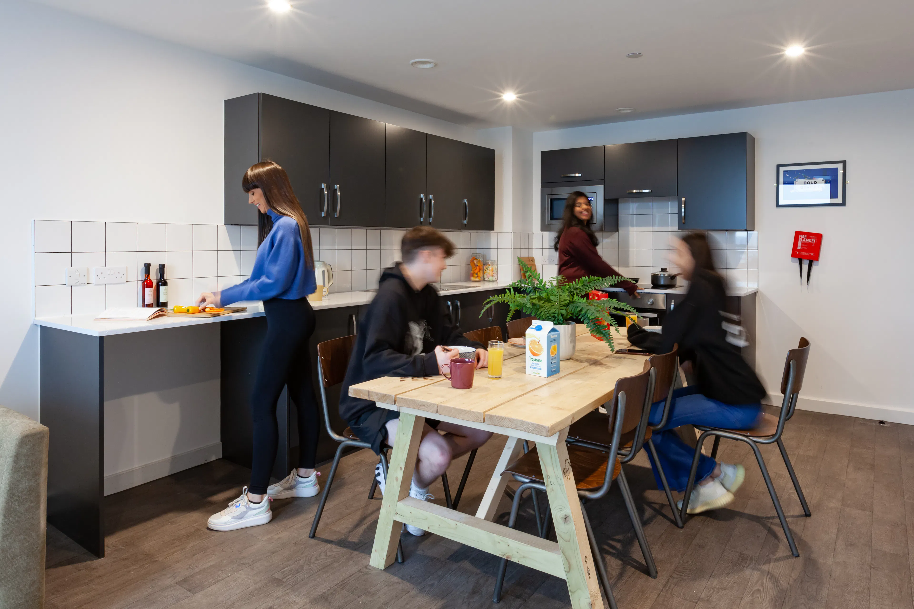 true Accessible Apartment KITCHEN 1
