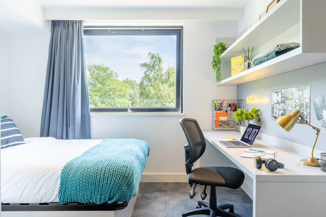 true Premium Studio room image 2
