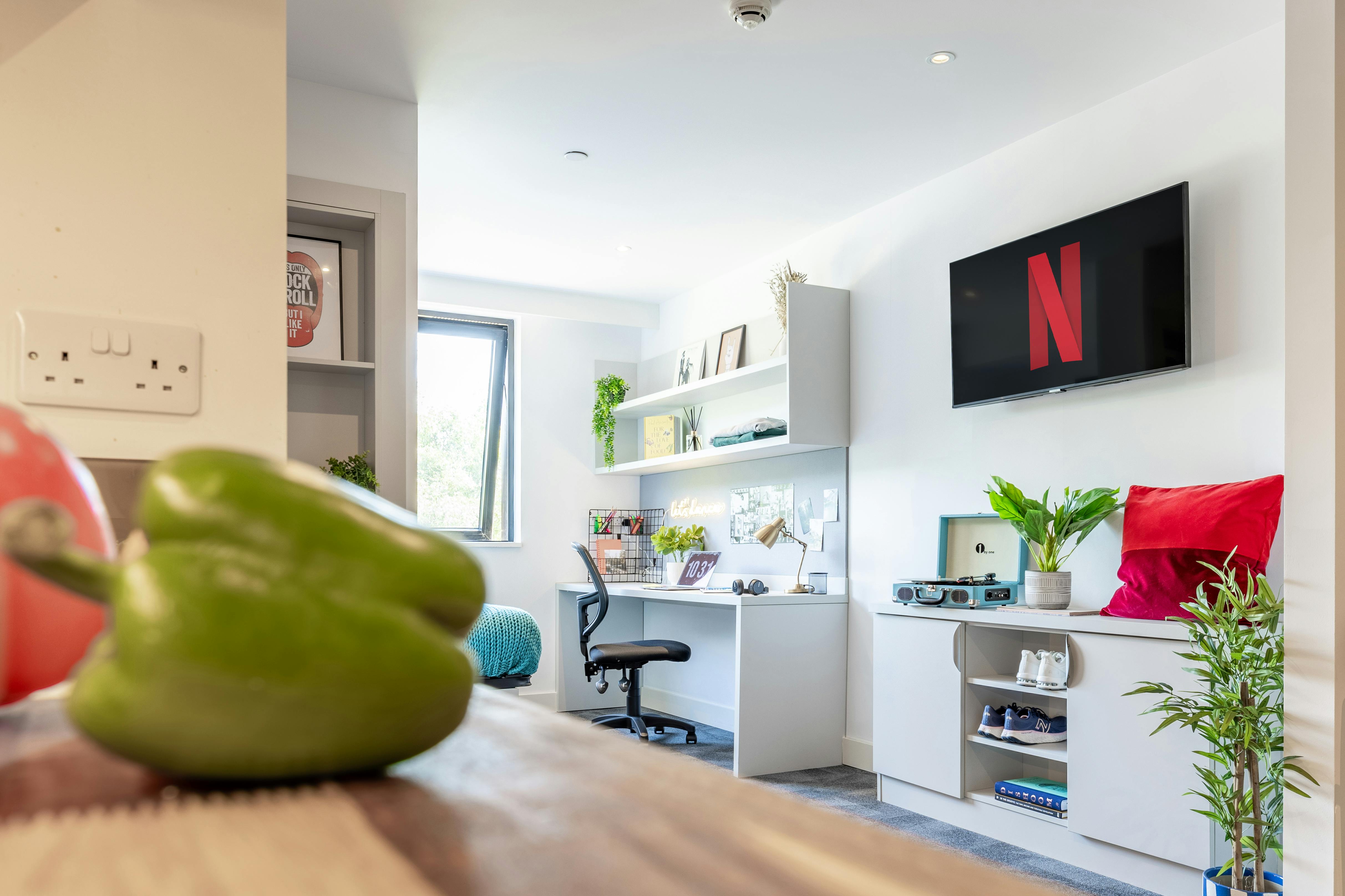 true Premium Studio with city views