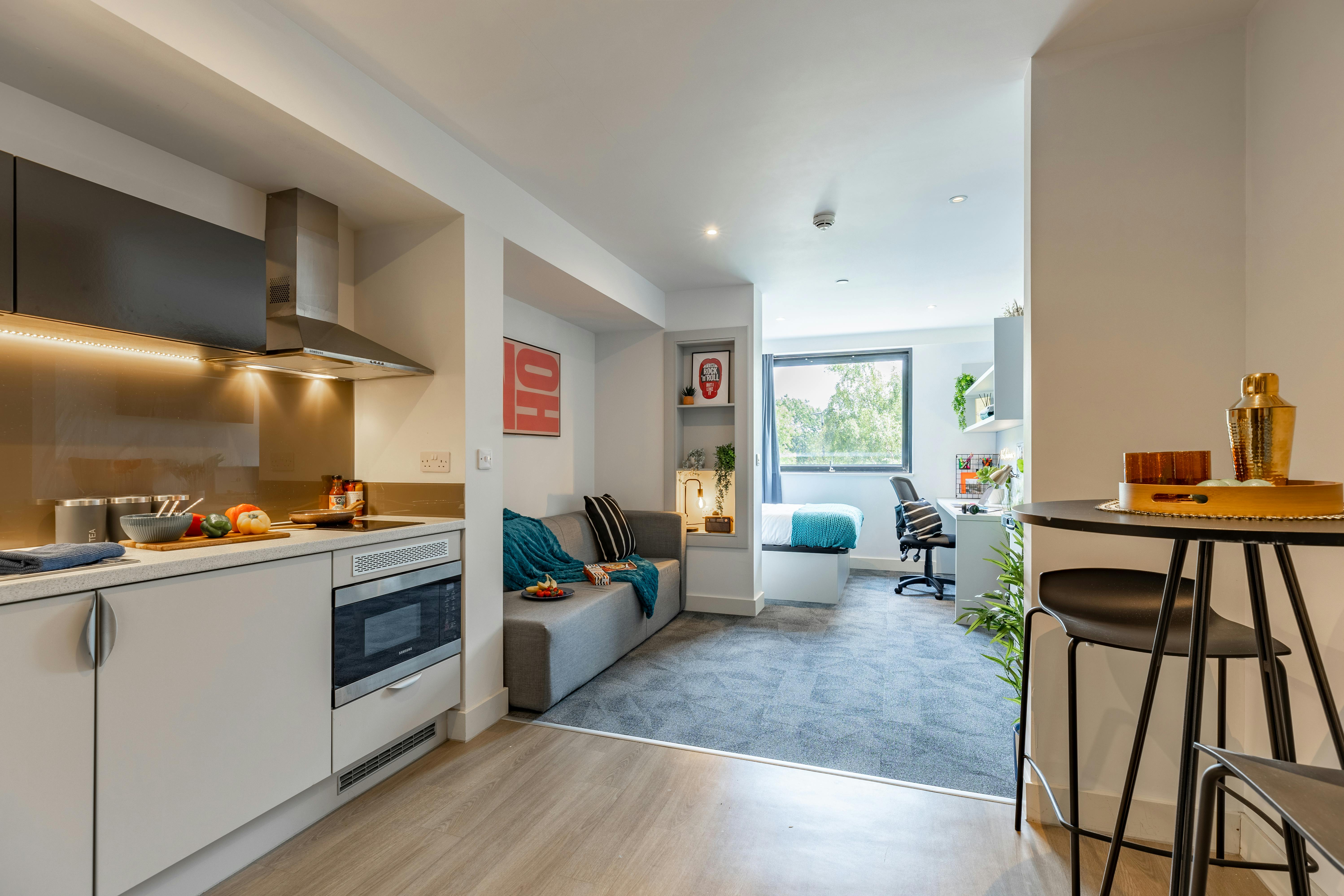 true Premium Studio with city views