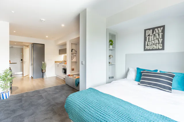 true Premium Studio with city views room image 1