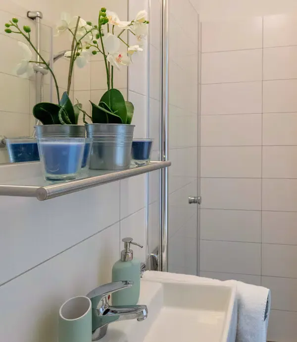 Double Studio BATHROOM 2